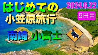 旅ログ はじめての小笠原旅行 9日目 集落散歩 小富士 南崎 アカガシラカラスバト 2024.6.22