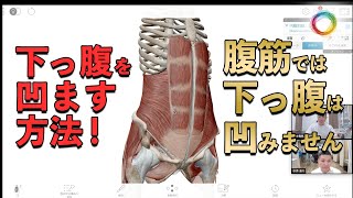 腹筋をすると 腰痛改善しません