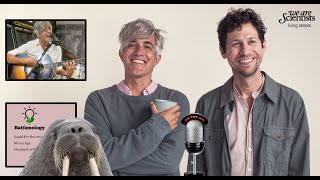 We Are Scientists Livestream Catastrophe