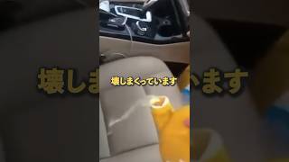 【悲報】BMW終了のお知らせin中国