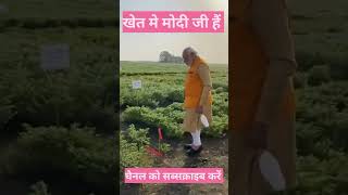PM Modi stops by to inspect a chickpea plant at ICRISAT farm in Hyderabad #trending #viral