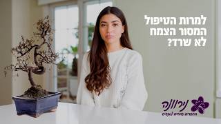 3 שנים אחריות על צמחי בית במשתלת נירוונה!