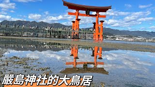 日本🇯🇵Japan自由行。廣島縣/廿日市市/厳島／いつくしま/日本旅行/Japan /嚴島神社#Anniego#廣島ねこ奉行