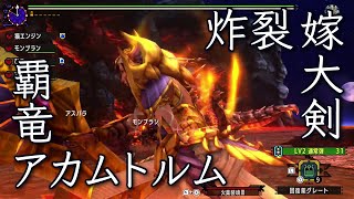 【MHXX】ブシドーヘビィボウガン \u0026 ギルド大剣 \u0026 ネコx2：G級 アカムトルム 【アラフィフから始めるハンターライフ #34】