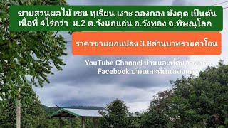 ขายสวนผลไม้ หน้าติดถนน หลังติดแม่น้ำเข็ก 4ไร่19ตรว. ม.2 ต.วังนกแอ่น อ.วังทอง พิษณุโลก ขาย 3,800,000฿