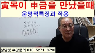 寅목이申금을 만났을때 운명적특징과작용