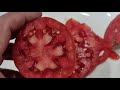 What Happens When You Bury Fish Scraps in a Container to Grow Tomatoes