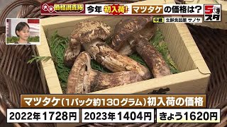 【マツタケ】初入荷の秋の味覚の代表格「マツタケ」価格は平年並み　ニンジンは出荷量安定し、仕入れ価格が値下がり (2024年9月11日)