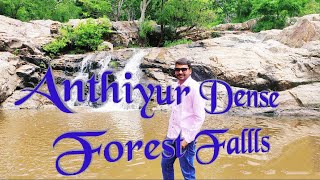 Man vs wild in Anthiyur Barbie Forest Maniyachi water Fallls Travel Vlog Tamil அந்தியூர் வனப்பகுதி