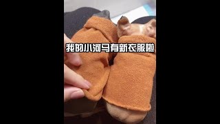 #迷你小河马 #无毛荷兰猪 #豚鼠衣服制作 帮我给它们整两个拉风点的名字吧