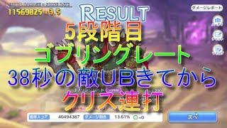 【クランバトル】５段階目　ゴブリングレート　38秒敵ＵＢからクリス連打【プリコネ】