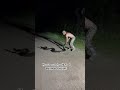 How to catch a 16 foot Burmese Python!!! Found in the Florida Everglades!