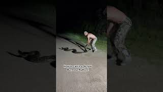 How to catch a 16 foot Burmese Python!!! Found in the Florida Everglades!