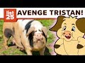 25 Funny Pig Jokes