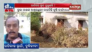 Government buildings in Nemalo are in a state of neglect || Kalinga TV