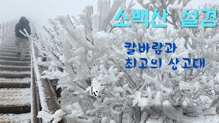 소백산 칼바람에 최고의 상고대와 설경.주목군락지.