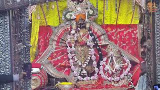 Live : Shri RadhaVallabh Mandir Daily Live Darshan Vrindavan Holi Utsav