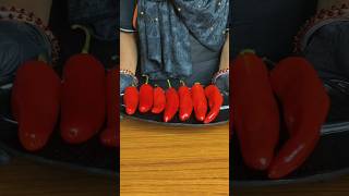 Red chilli🌶️ pakoda #shorts #chili #viralvideo #trending