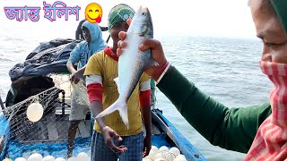 অনেক দিন পর জ্যান্ত ইলিশ মাছ ধরলাম!!! 😋 hilsa fish/Sundarban river fishing/@lifeinsundarban2