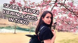 🌸 I found a secret Hanami spot in Tokyo 🌸