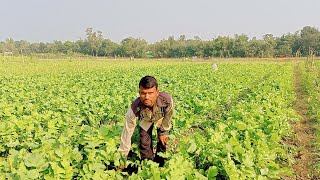 গ্রামের কৃষি জমির দৃশ্য ২০২২।