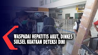 Waspadai Hepatitis Akut, Dinkes Sulsel Kuatkan Deteksi Dini