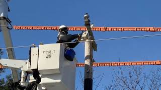 Replacing an electrical pole