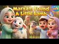 Maryam found a little lamb | Islamic version of Mary Had A Little Lamb | Muslim kids Nursery Rhyme