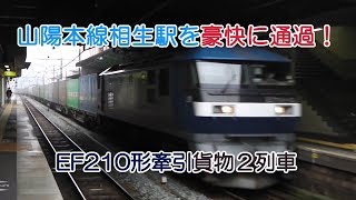 山陽本線相生駅を豪快に通過！EF210形牽引貨物2列車