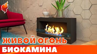 Камин без дров и дымохода. Как выбрать биокамин!