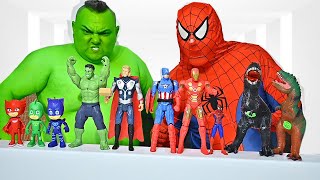 Superheroes and PJ Masks Play With Toys