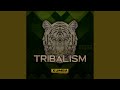 Trybala (Original Mix)