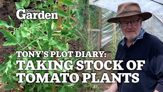 Taking stock of tomato plants | Tony's plot diary