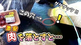 【穴釣り】アイナメの巣に砂肝を落とすと…!?