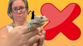 Don't Kill Your Crested Gecko