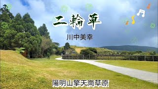 🎤二輪草🎶/にりんそう/中山美幸/陽明山擎天崗/聽歌看風景