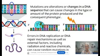 Mutations AP Biology Topic 6.7 Updated 2025