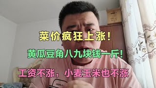 菜价疯狂上涨！黄瓜豆角八九块钱一斤？工资不涨，吃的喝的全涨价