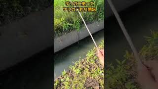 ザリガニを餌にしてザリガニ釣りしてみたら…