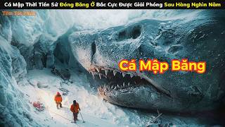 [Review Phim] Cá Mập Thời Tiền Sử Đóng Băng Ở Bắc Cực Được Giải Phóng Sau Hàng Nghìn Năm