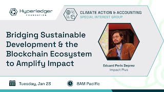 Bridging sustainable development & the blockchain ecosystem to amplify impact