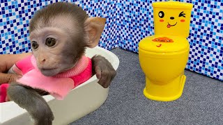 Baby monkey Bim Bim go to the toilet and playing with the puppy and baby rabbit