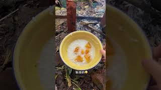 挑战流浪第44天，冬天了，食物越来越不好找了#dog #food #shorts