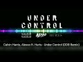 Calvin Harris, Alesso ft. Hurts - Under Control (DNSEM Remix)