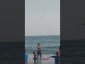 Dragonflies Invade Beach in Rhode Island