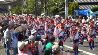 ２０１０年福山ばら祭り