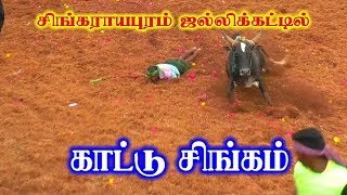 மீண்டும் கட்டப்பாவின் ஆட்டம் தொடரும் சிங்கராயபுரம் ஜல்லிக்கட்டில்  6381785042