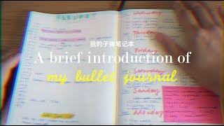 如何制作子弹笔记 | Bullet Journal | 手帐分享 | 你好竹子