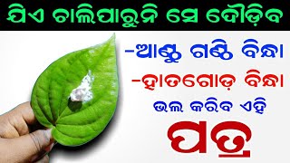 ( ଆଣ୍ଠୁ ଗଣ୍ଠି ବିନ୍ଧା, ଅଣ୍ଟା ବିନ୍ଧା ) ୨ମିନିଟ୍ ରେ ଭଲ କରିବ ଏହି ଚମତ୍କାରି ପତ୍ର,Joint pain Home remedy