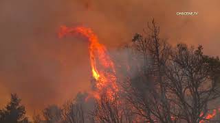 Line Fire Continues To Rage Towards Angelus Oaks